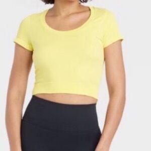 Womens  Seamless Cropped Short Sleeve Top